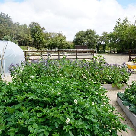 克利夫登Fernwood别墅 外观 照片