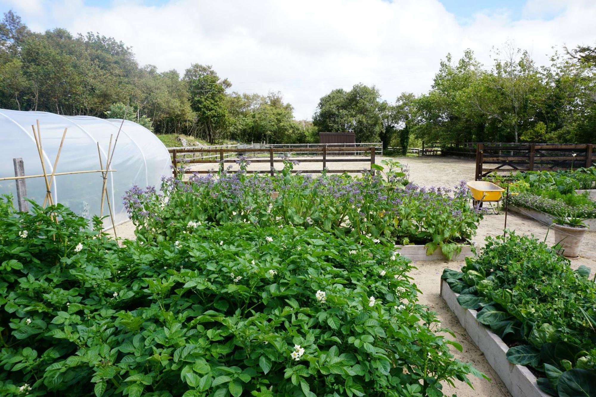 克利夫登Fernwood别墅 外观 照片